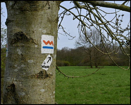 Zeichen des Zollvereinsteigs an einem Baum