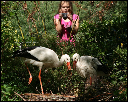 Duisburger Zoo