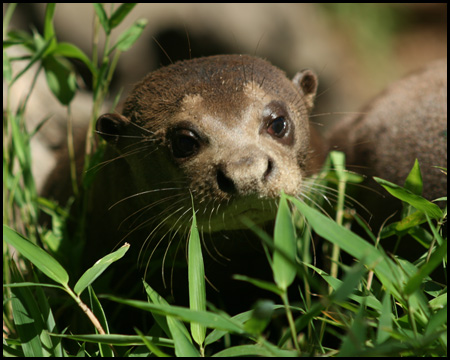 Duisburger Zoo