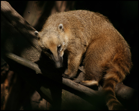 Duisburger Zoo